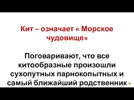 Кит – означает « Морское чудовище» Поговаривают, что все китообразные произошли сухопутных