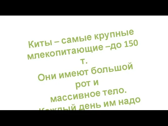 Киты – самые крупные млекопитающие –до 150 т. Они имеют большой рот