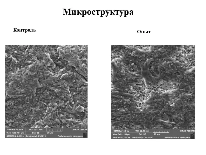 Микроструктура Контроль Опыт