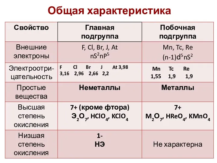 Общая характеристика