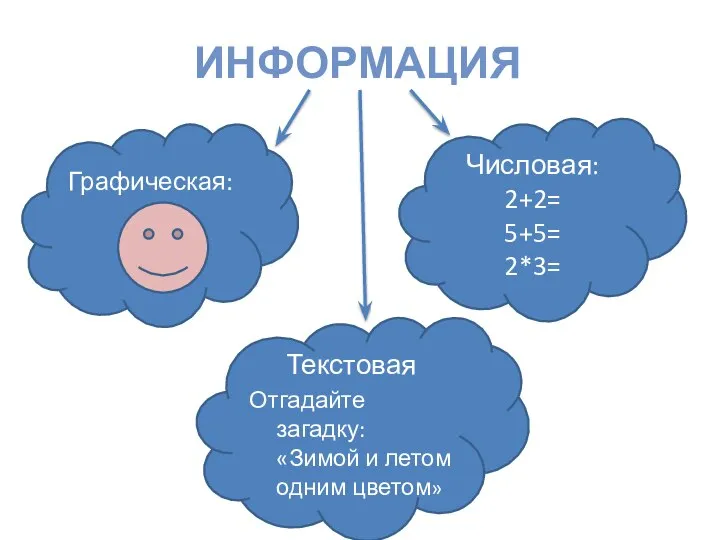 ИНФОРМАЦИЯ Графическая: Текстовая Отгадайте загадку: «Зимой и летом одним цветом» Числовая: 2+2= 5+5= 2*3=