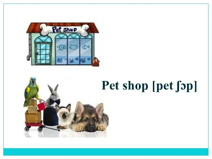 Pet shop [pet ʃɔp]