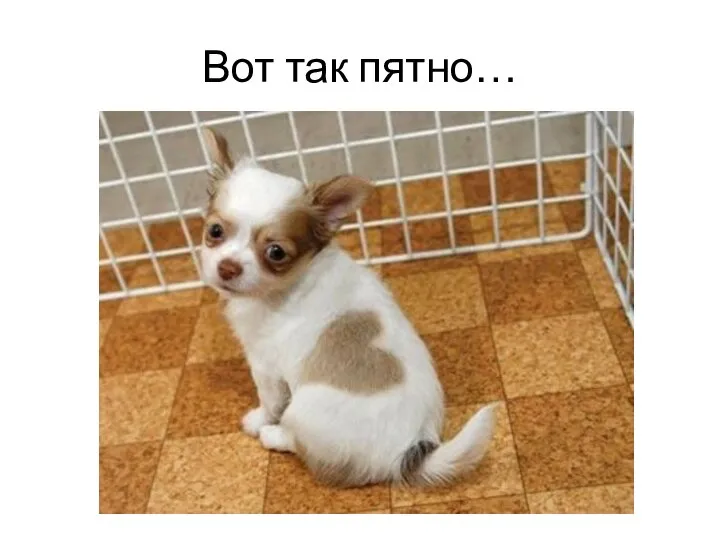 Вот так пятно…