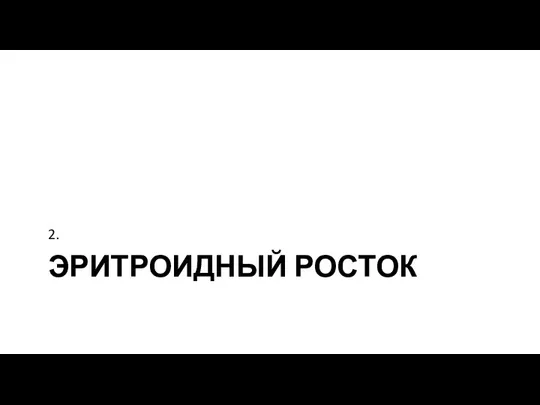 ЭРИТРОИДНЫЙ РОСТОК 2.