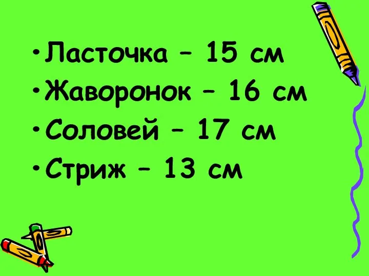 Ласточка – 15 см Жаворонок – 16 см Соловей – 17 см Стриж – 13 см