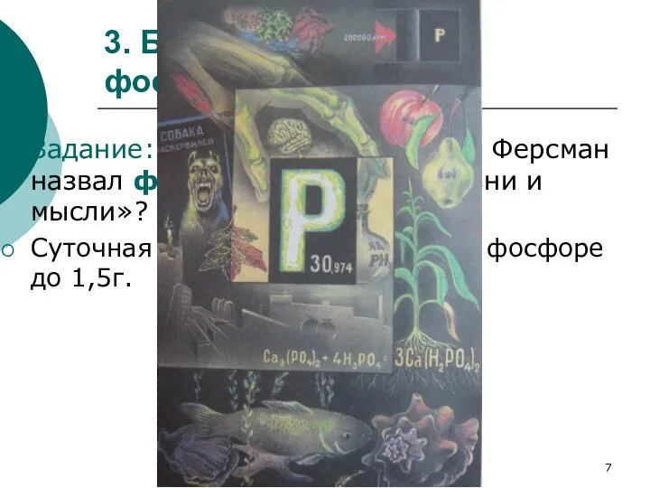 А.Г.Волкова 3. Биологическая роль фосфора Задание: «Почему академик А.Е. Ферсман назвал фосфор