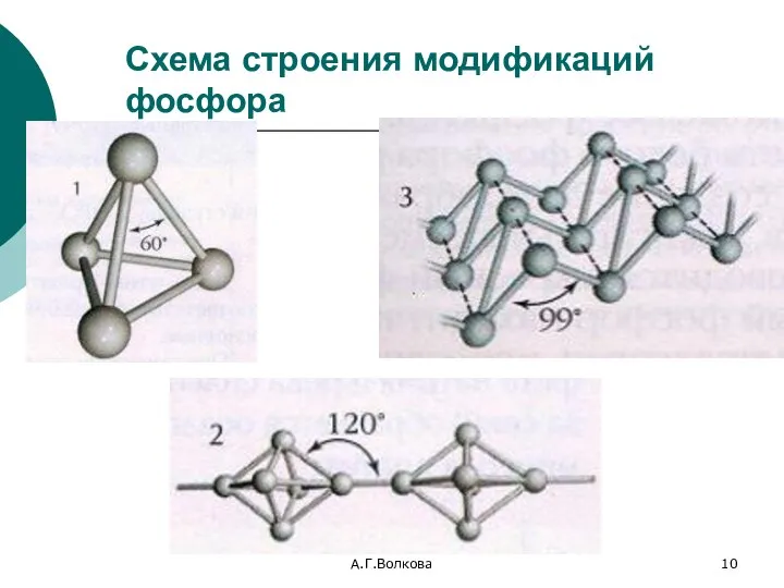 А.Г.Волкова Схема строения модификаций фосфора