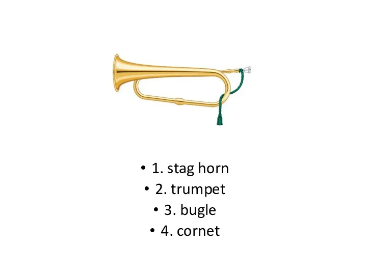 1. stag horn 2. trumpet 3. bugle 4. cornet