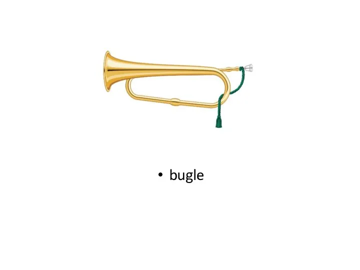 bugle