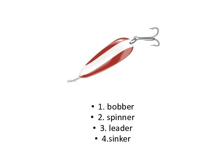 1. bobber 2. spinner 3. leader 4.sinker