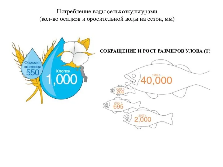 Потребление воды сельхозкультурами (кол-во осадков и оросительной воды на сезон, мм) СОКРАЩЕНИЕ