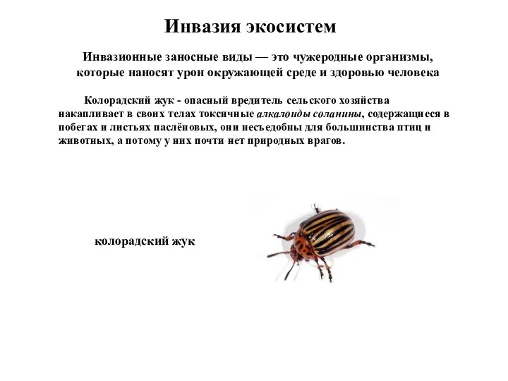 Инвазия экосистем Инвазионные заносные виды — это чужеродные организмы, которые наносят урон