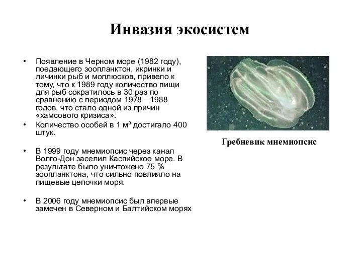 Инвазия экосистем Появление в Черном море (1982 году), поедающего зоопланктон, икринки и