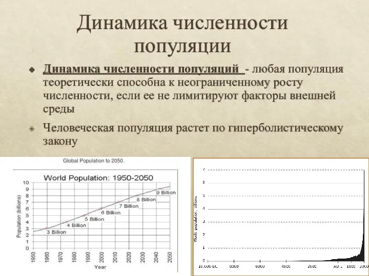 Динамика численности популяции Динамика численности популяций - любая популяция теоретически способна к