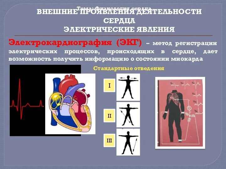 Тема: Физиология сердца ВНЕШНИЕ ПРОЯВЛЕНИЯ ДЕЯТЕЛЬНОСТИ СЕРДЦА ЭЛЕКТРИЧЕСКИЕ ЯВЛЕНИЯ Электрокардиография (ЭКГ) –