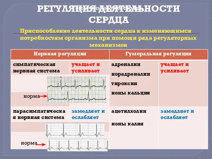 Тема: Физиология сердца РЕГУЛЯЦИЯ ДЕЯТЕЛЬНОСТИ СЕРДЦА Приспособление деятельности сердца к изменяющимся потребностям