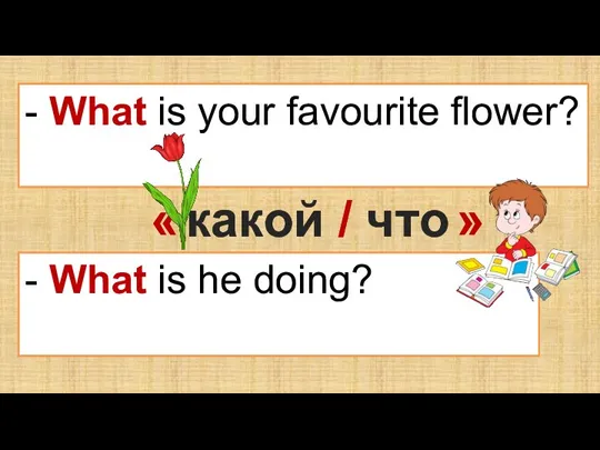 - What is your favourite flower? - Tulip. - What is he
