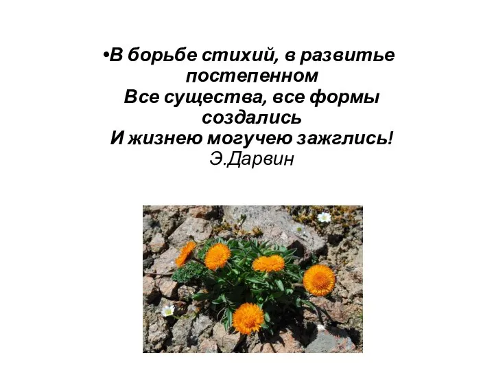 В борьбе стихий, в развитье постепенном Все существа, все формы создались И жизнею могучею зажглись! Э.Дарвин