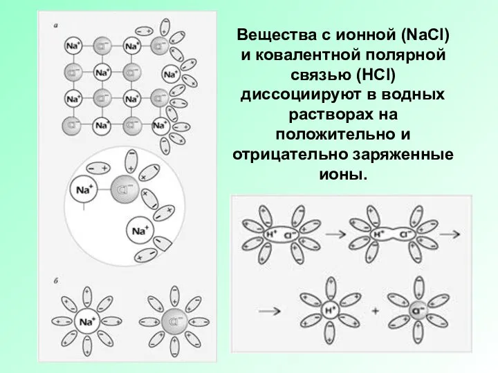 Вещества с ионной (NaCl) и ковалентной полярной связью (HCl) диссоциируют в водных