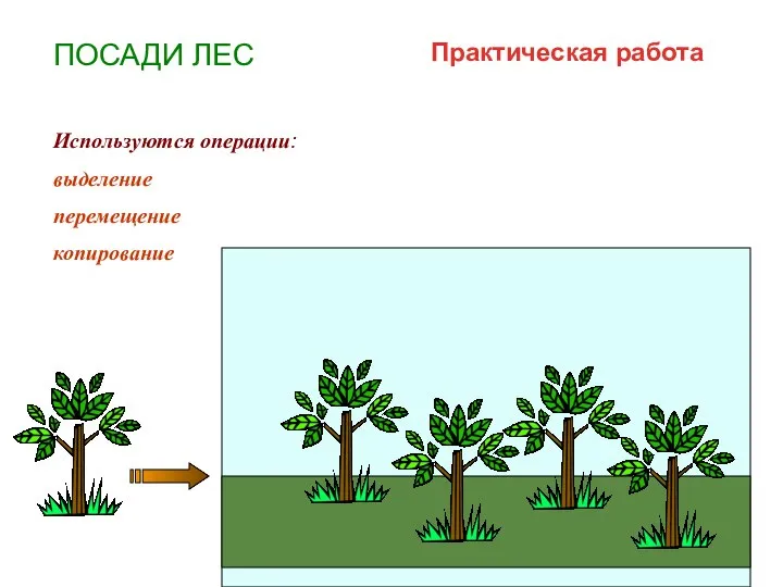 ПОСАДИ ЛЕС выделение перемещение копирование Используются операции: Практическая работа