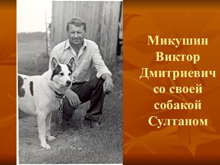 Микушин Виктор Дмитриевич со своей собакой Султаном