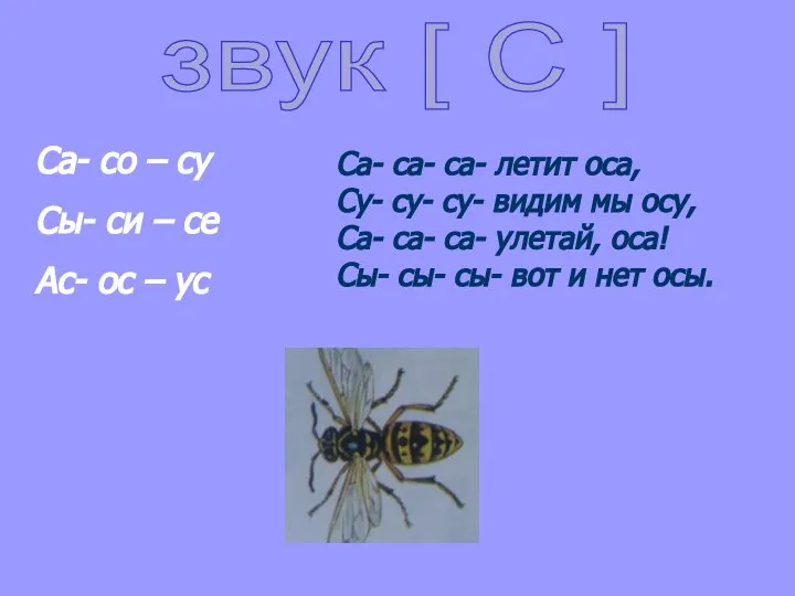 звук [ С ] Са- со – су Сы- си – се