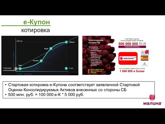 Стартовая котировка е-Купона соответствует заявленной Стартовой Оценки Консолидируемых Активов внесенных со стороны