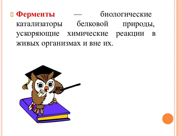 Ферменты — биологические катализаторы белковой природы, ускоряющие химические реакции в живых организмах и вне их.