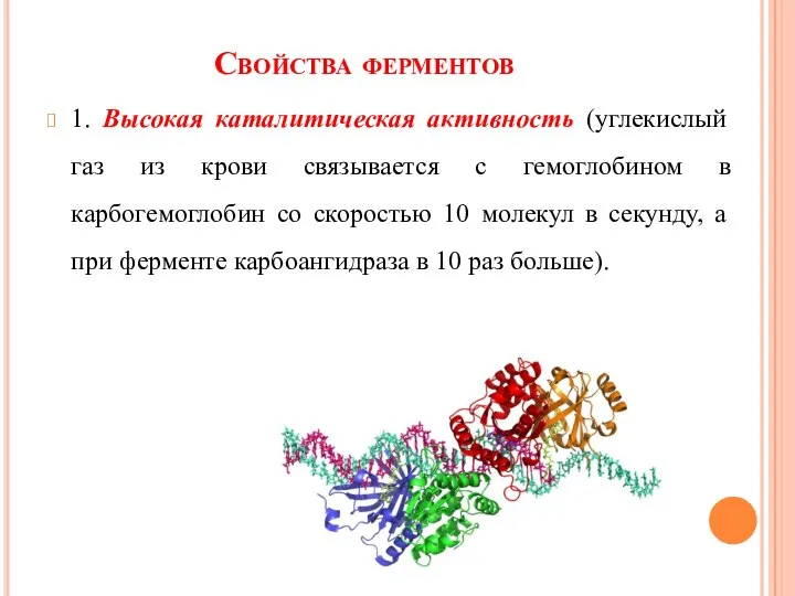 Свойства ферментов 1. Высокая каталитическая активность (углекислый газ из крови связывается с