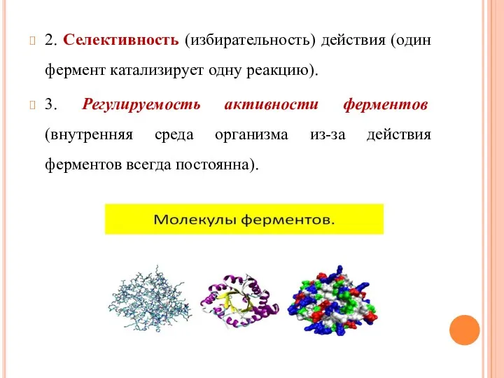 2. Селективность (избирательность) действия (один фермент катализирует одну реакцию). 3. Регулируемость активности