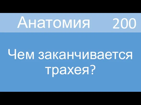 Анатомия Чем заканчивается трахея? 200