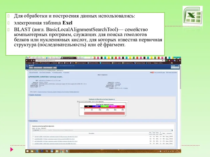 Для обработки и построения данных использовались: электронная таблица Exel BLAST (англ. BasicLocalAlignmentSearchTool)—