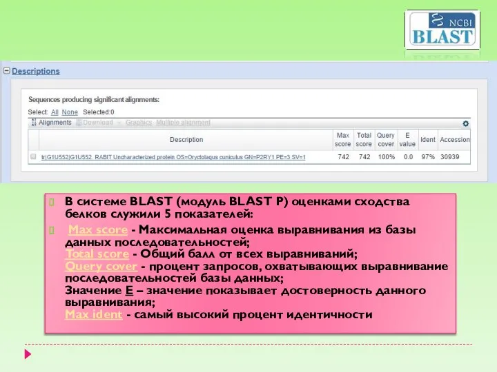 В системе BLAST (модуль BLAST P) оценками сходства белков служили 5 показателей: