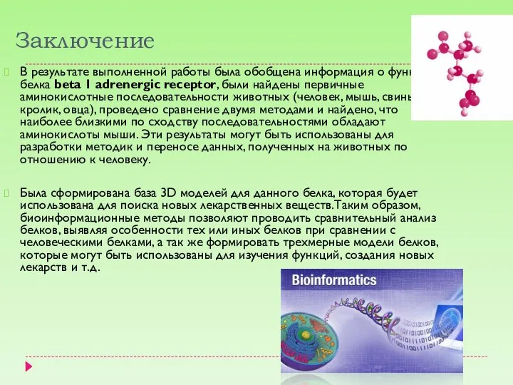 Заключение В результате выполненной работы была обобщена информация о функции белка beta