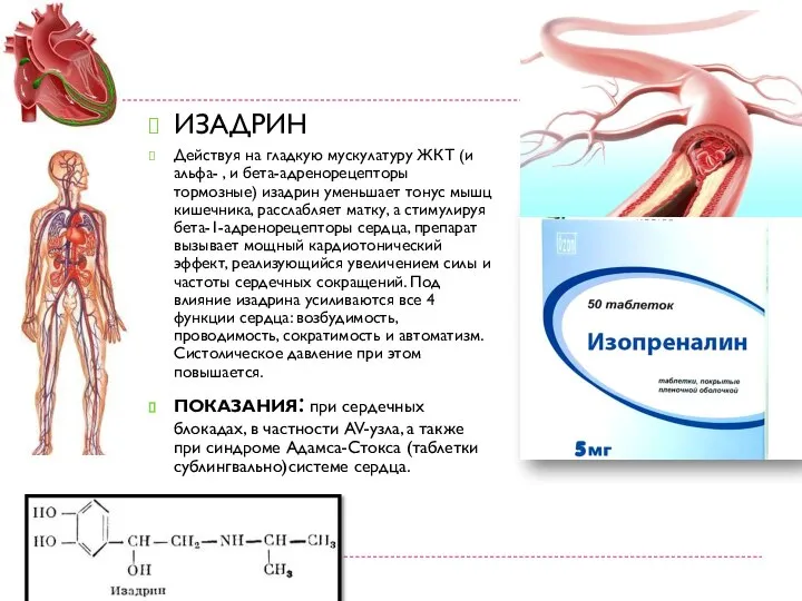 ИЗАДРИН Действуя на гладкую мускулатуру ЖКТ (и альфа- , и бета-адренорецепторы тормозные)