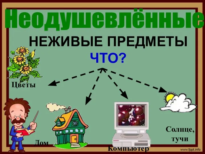 НЕЖИВЫЕ ПРЕДМЕТЫ ЧТО? Цветы Дом Компьютер Солнце, тучи Неодушевлённые