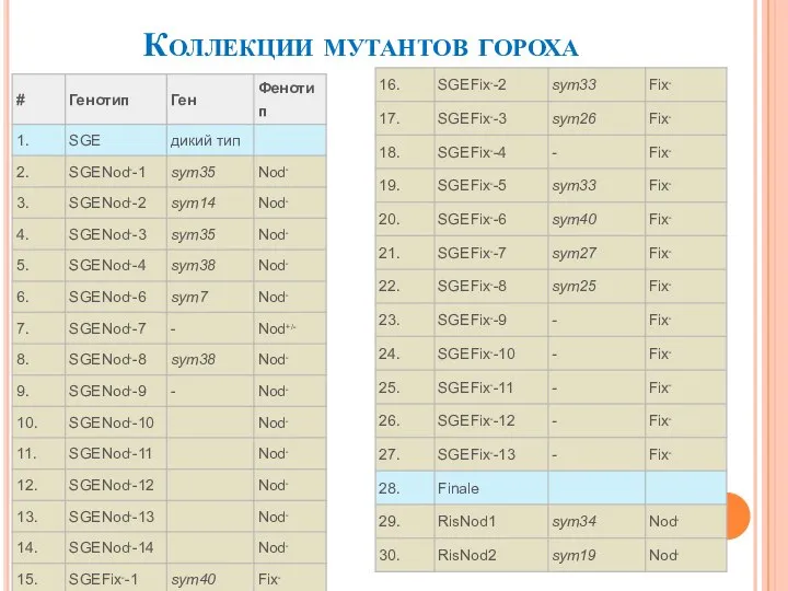 Коллекции мутантов гороха