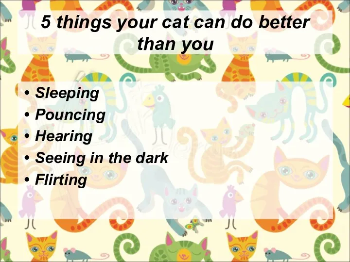 5 things your cat can do better than you Sleeping Pouncing Hearing