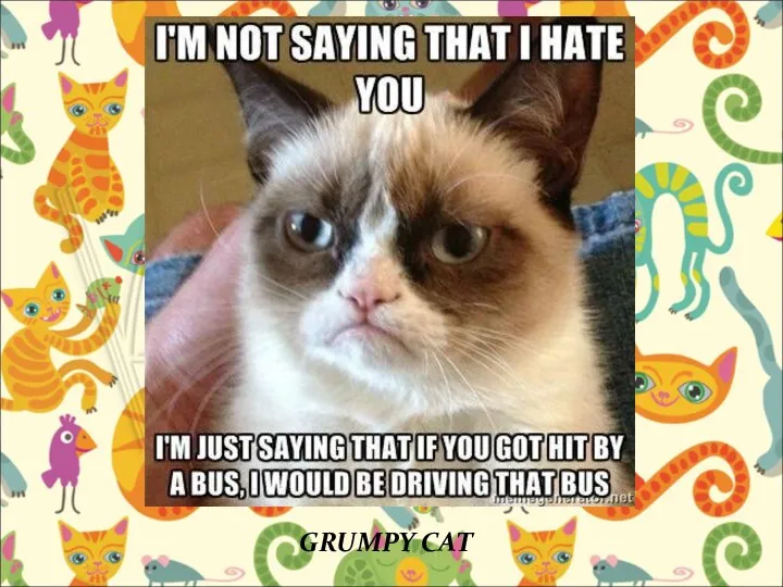 GRUMPY CAT