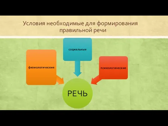 Условия необходимые для формирования правильной речи