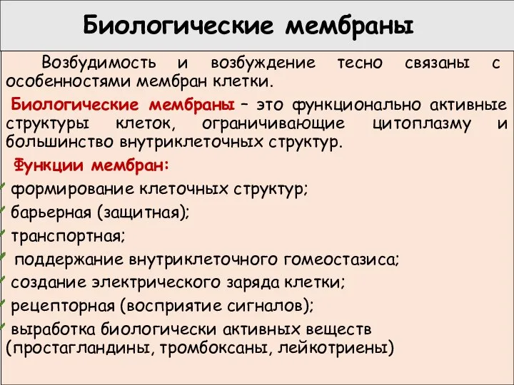 Биологические мембраны Возбудимость и возбуждение тесно связаны с особенностями мембран клетки. Биологические