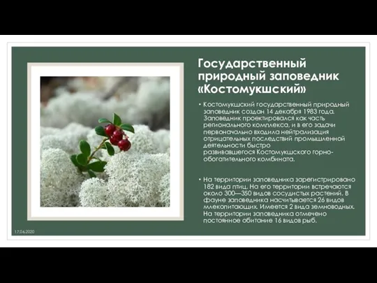 Государственный природный заповедник «Костому́кшский» Костомукшский государственный природный заповедник создан 14 декабря 1983