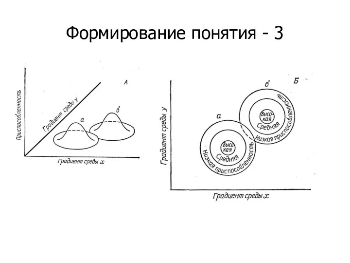 Формирование понятия - 3