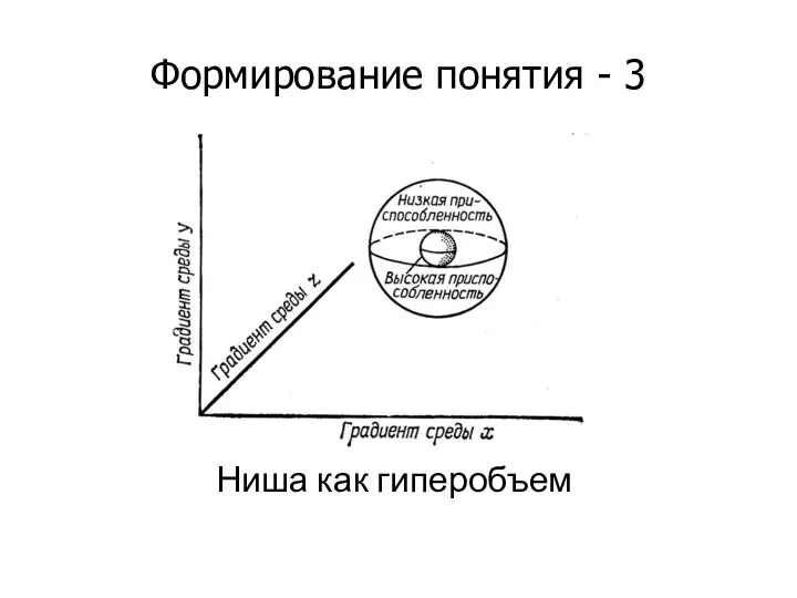 Формирование понятия - 3 Ниша как гиперобъем