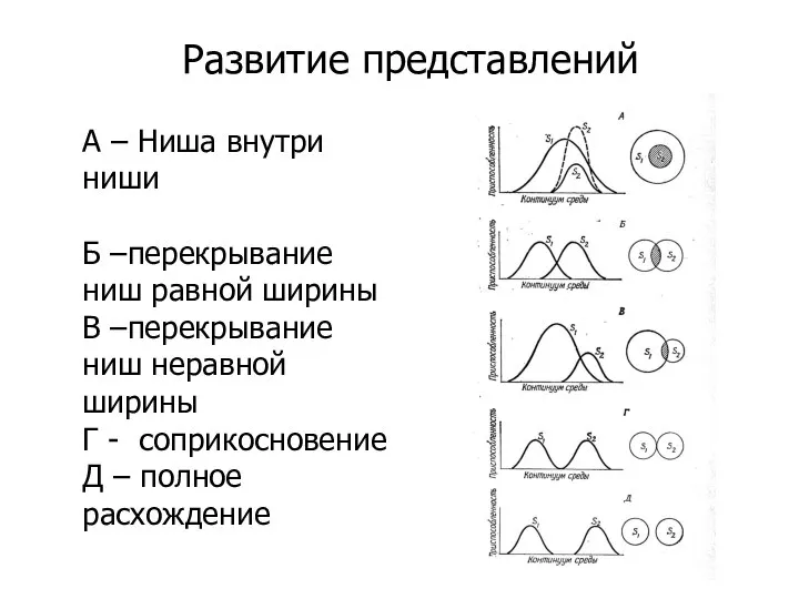 Развитие представлений А – Ниша внутри ниши Б –перекрывание ниш равной ширины