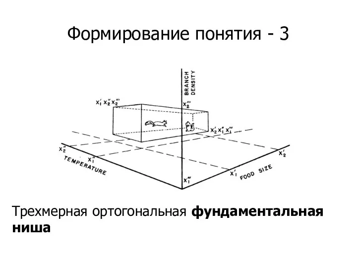 Формирование понятия - 3 Трехмерная ортогональная фундаментальная ниша