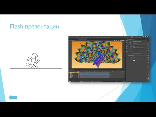 Flash презентации