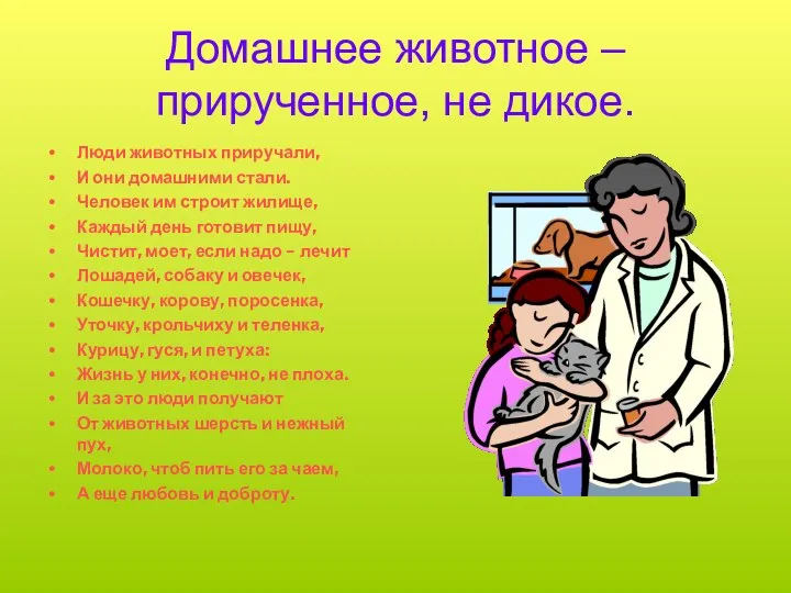 Домашнее животное – прирученное, не дикое. Люди животных приручали, И они домашними