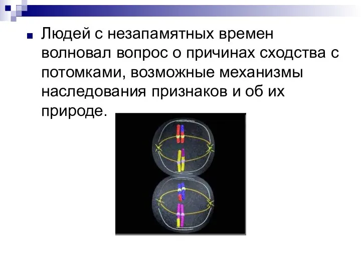 Людей с незапамятных времен волновал вопрос о причинах сходства с потомками, возможные