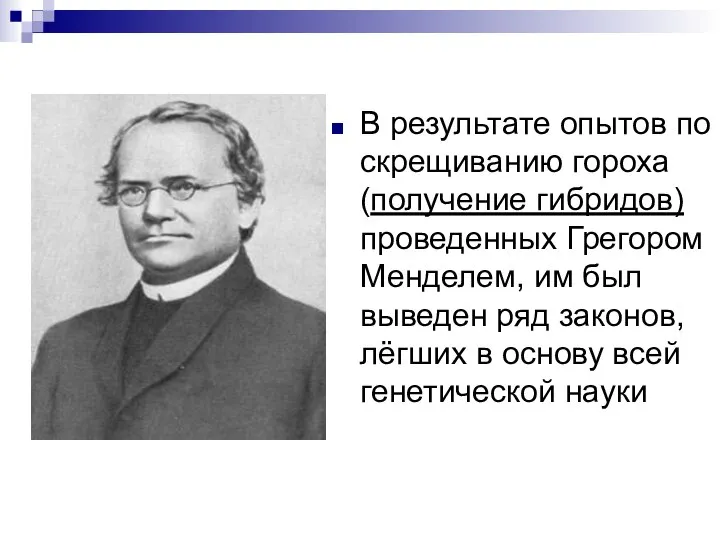 В результате опытов по скрещиванию гороха (получение гибридов) проведенных Грегором Менделем, им